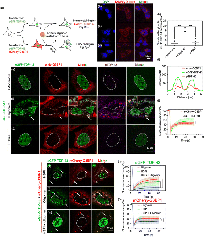image file: d5sc05433h-f3.tif