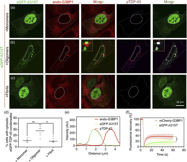 image file: d5sc05433h-f4.tif