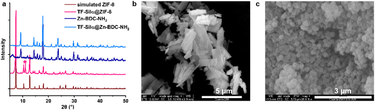 image file: d5sc05521k-f3.tif