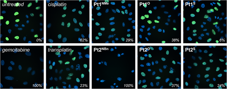 image file: d5sc05555e-f6.tif