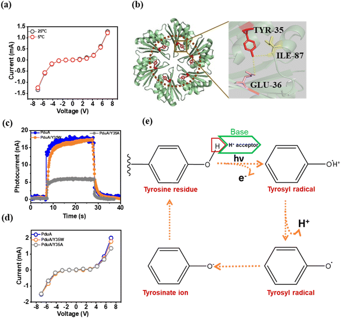 image file: d5sc05716g-f3.tif