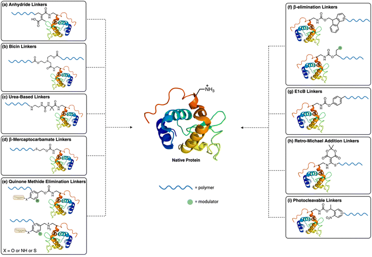 image file: d5sc05801e-f2.tif