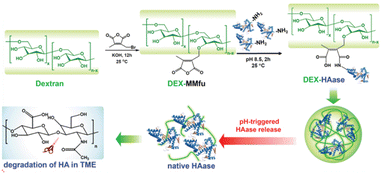 image file: d5sc05801e-f4.tif