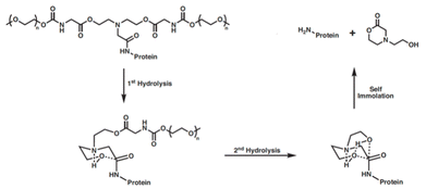 image file: d5sc05801e-f5.tif
