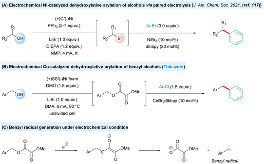 image file: d5sc05919d-s1.tif