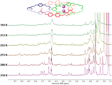 image file: d5sc05942a-f4.tif