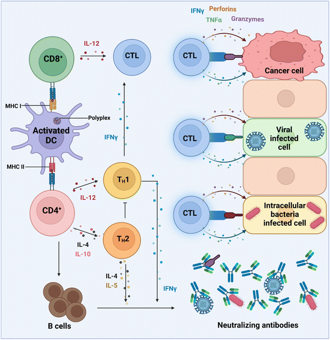 image file: d5sc05951h-f2.tif