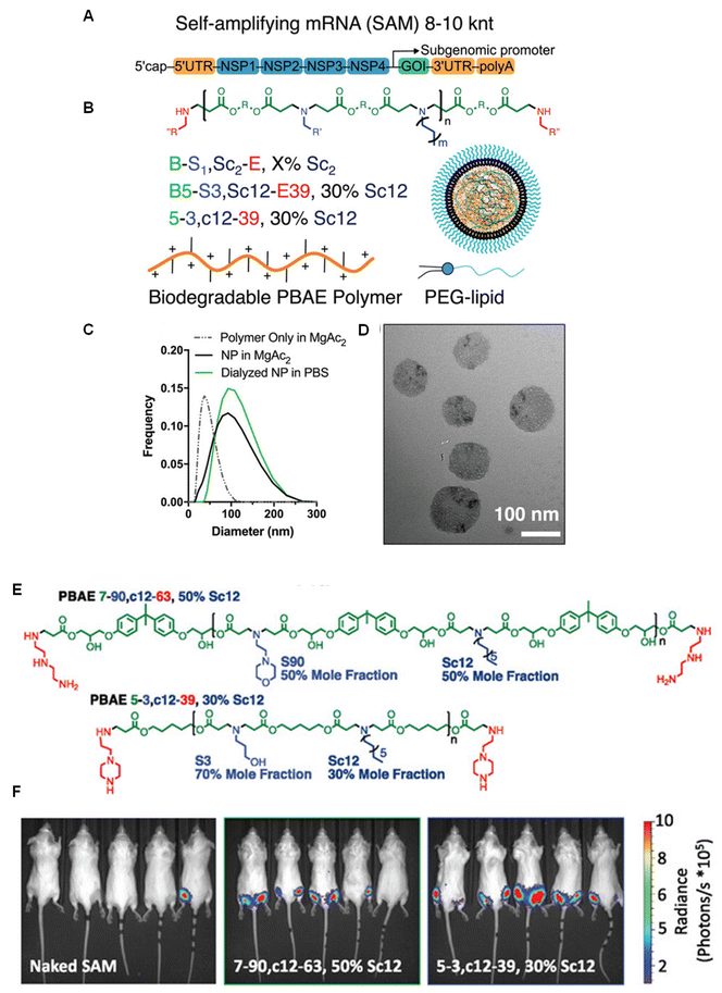 image file: d5sc05951h-f7.tif