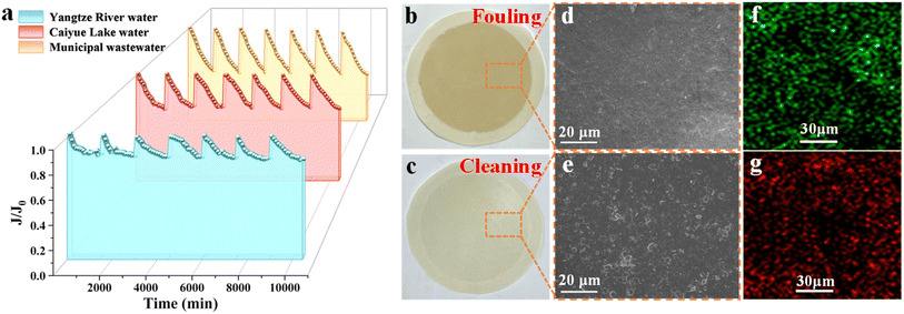 image file: d5sc05978j-f10.tif