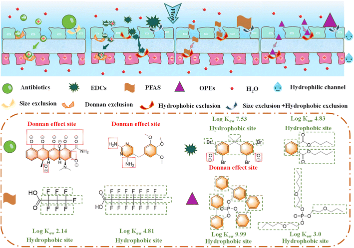 image file: d5sc05978j-f6.tif