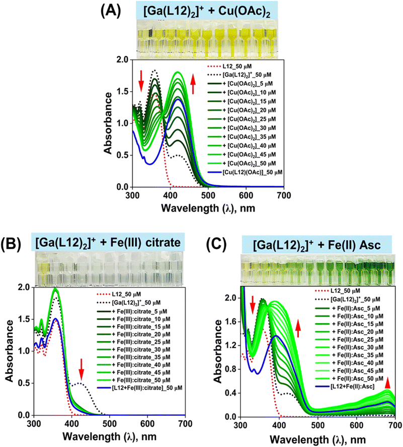 image file: d5sc06084b-f5.tif