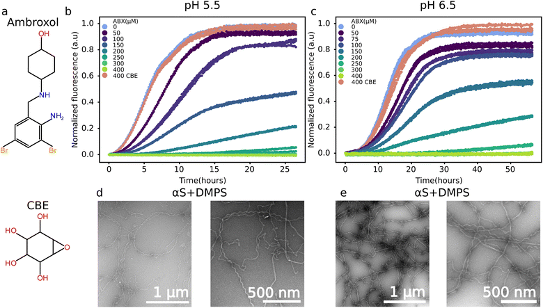 image file: d5sc06116d-f1.tif