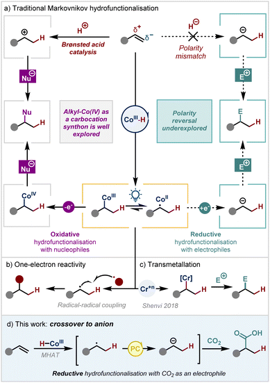 image file: d5sc06119a-s1.tif