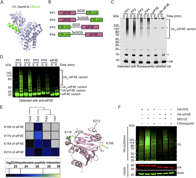 image file: d5sc06141e-f1.tif
