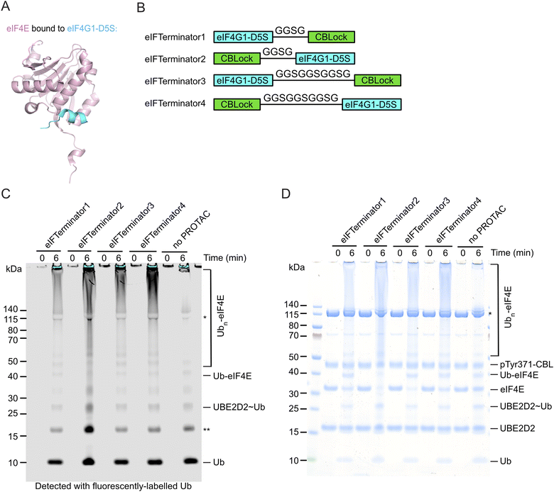 image file: d5sc06141e-f2.tif