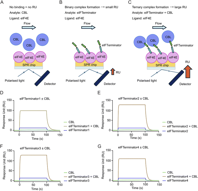 image file: d5sc06141e-f3.tif