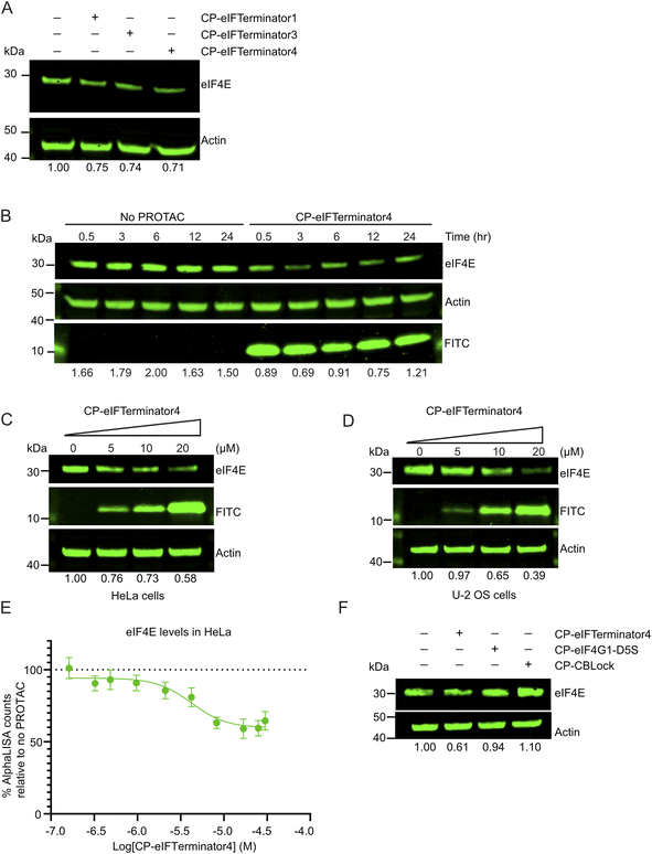 image file: d5sc06141e-f4.tif