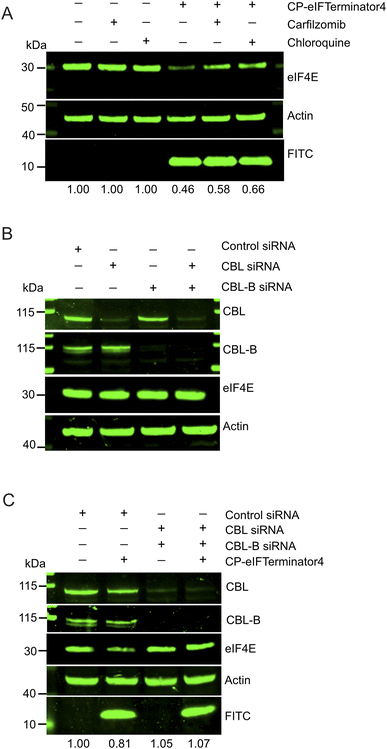 image file: d5sc06141e-f5.tif