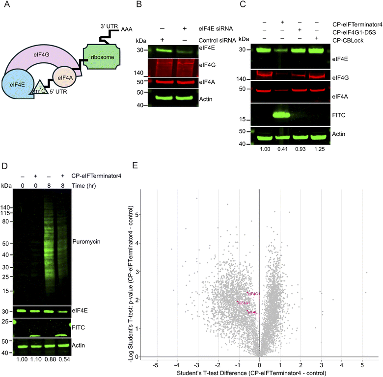 image file: d5sc06141e-f6.tif