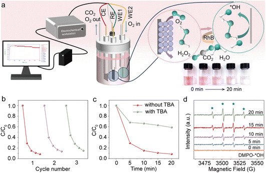 image file: d5sc06179b-f5.tif
