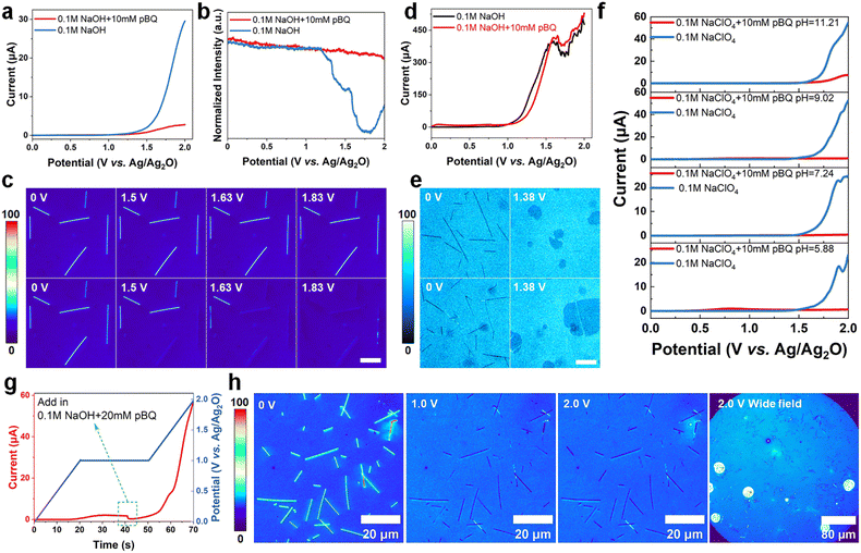 image file: d5sc06225j-f2.tif