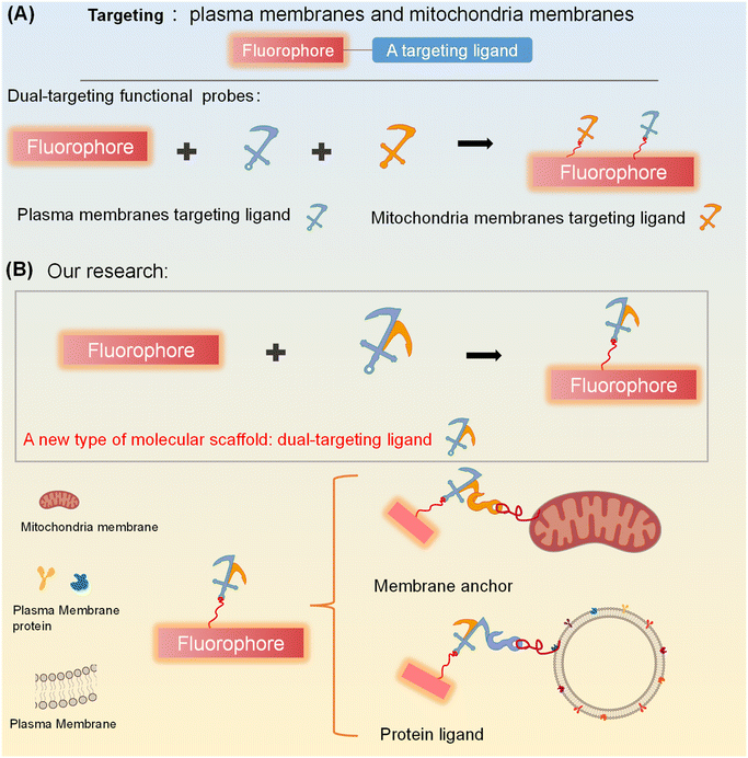 image file: d5sc06276d-f1.tif