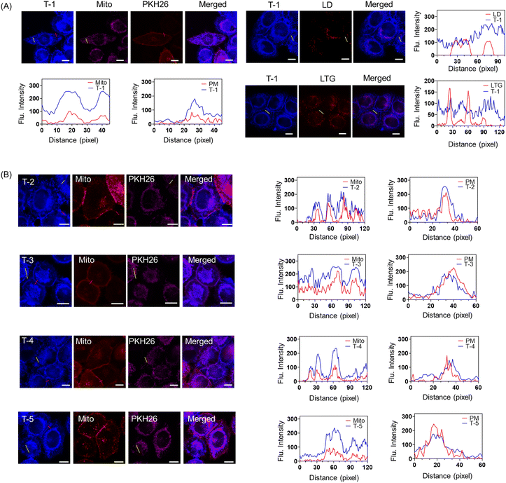 image file: d5sc06276d-f3.tif