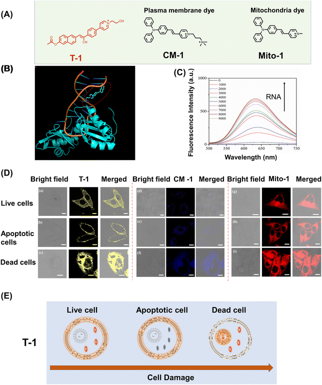 image file: d5sc06276d-f4.tif