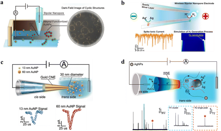 image file: d5sc06299c-f2.tif