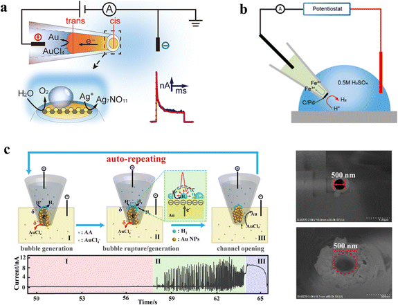 image file: d5sc06299c-f3.tif