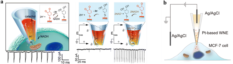 image file: d5sc06299c-f4.tif