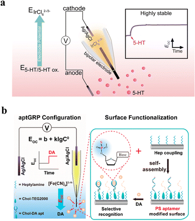 image file: d5sc06299c-f5.tif