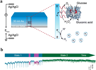 image file: d5sc06299c-f6.tif