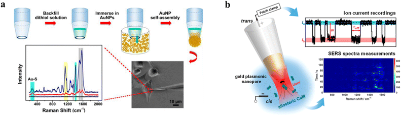 image file: d5sc06299c-f7.tif