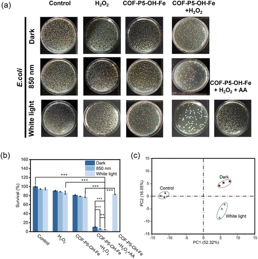 image file: d5sc06433c-f5.tif