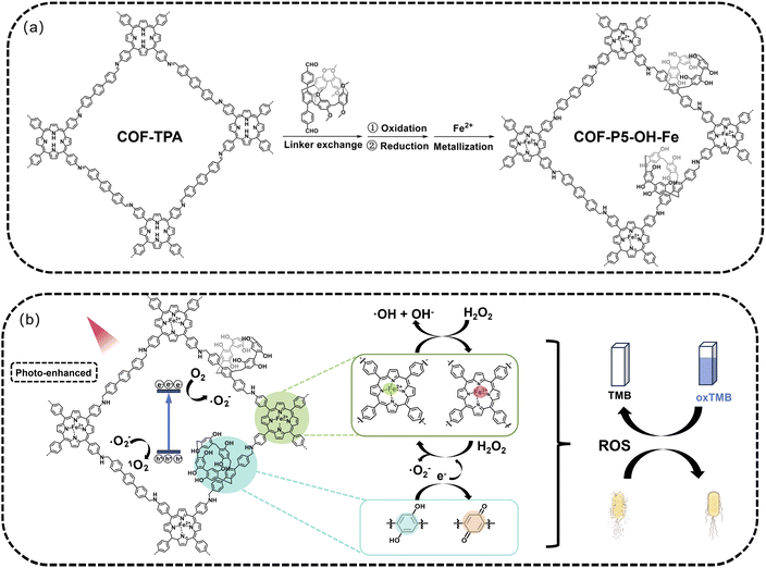 image file: d5sc06433c-s1.tif