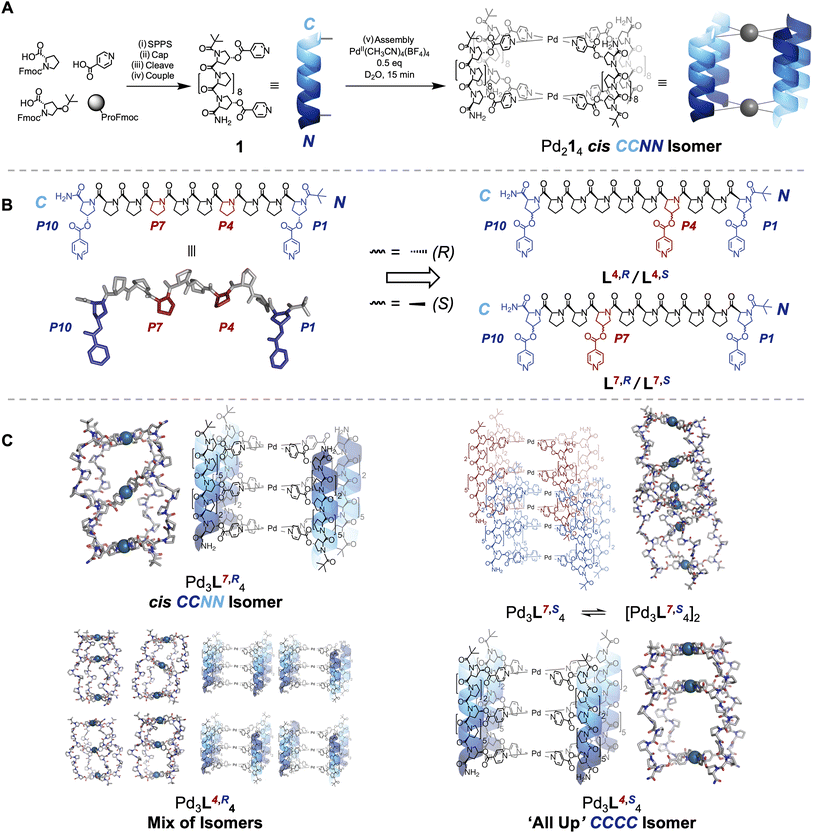 image file: d5sc06441d-f1.tif