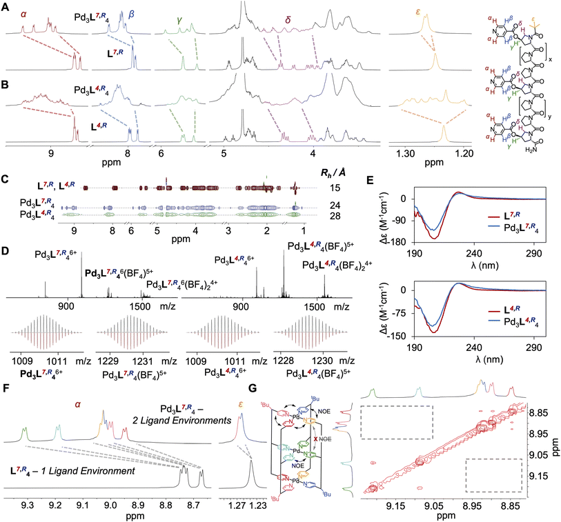 image file: d5sc06441d-f2.tif
