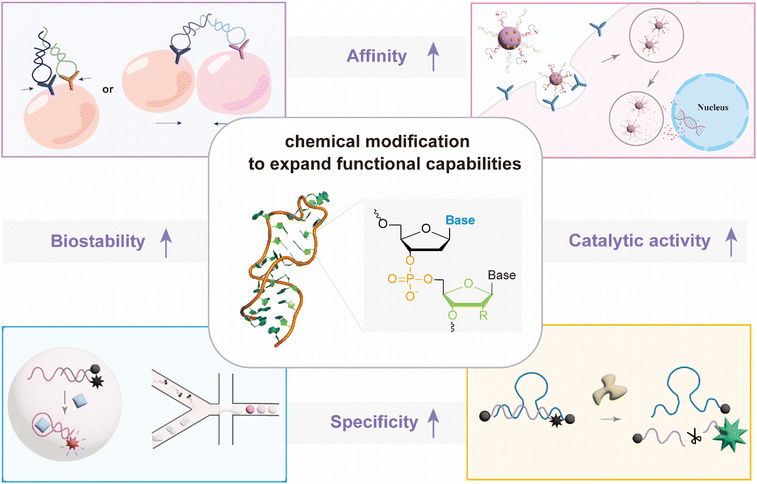 image file: d5sc06474k-f1.tif