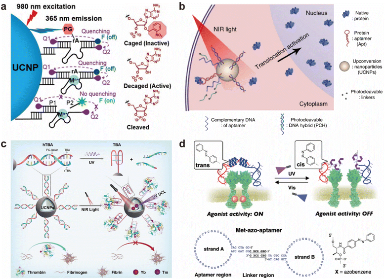 image file: d5sc06474k-f6.tif
