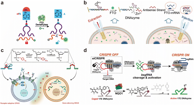 image file: d5sc06474k-f7.tif