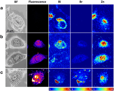 image file: d5sc06490b-f2.tif