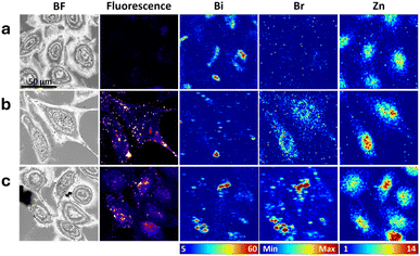 image file: d5sc06490b-f3.tif
