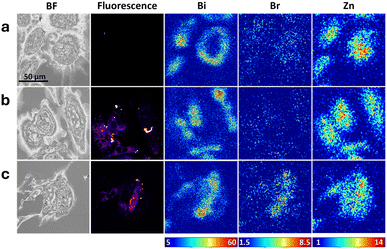 image file: d5sc06490b-f4.tif