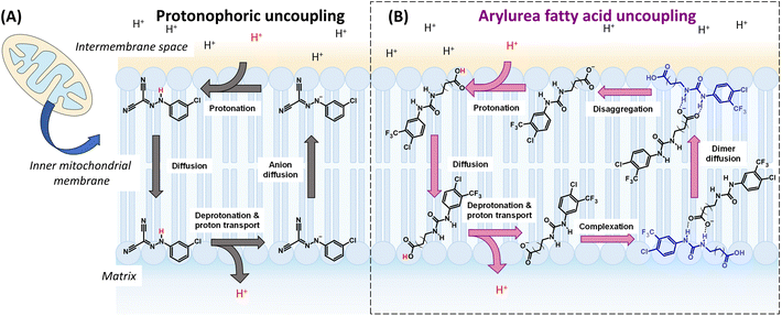 image file: d5sc06530e-f1.tif