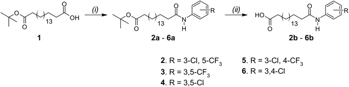 image file: d5sc06530e-s1.tif