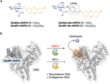 image file: d5sc06843f-f1.tif