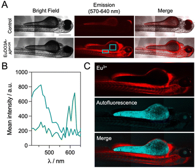 image file: d5sc06902e-f8.tif