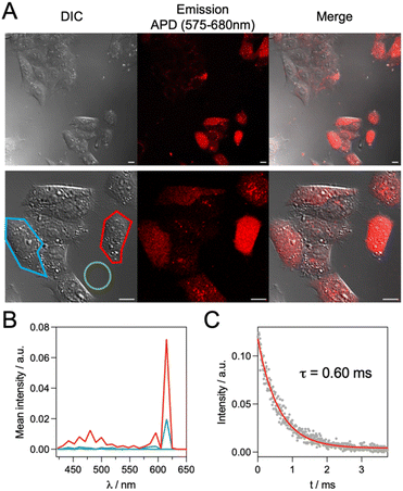 image file: d5sc06902e-f9.tif