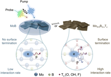 image file: d5sc06945a-f1.tif